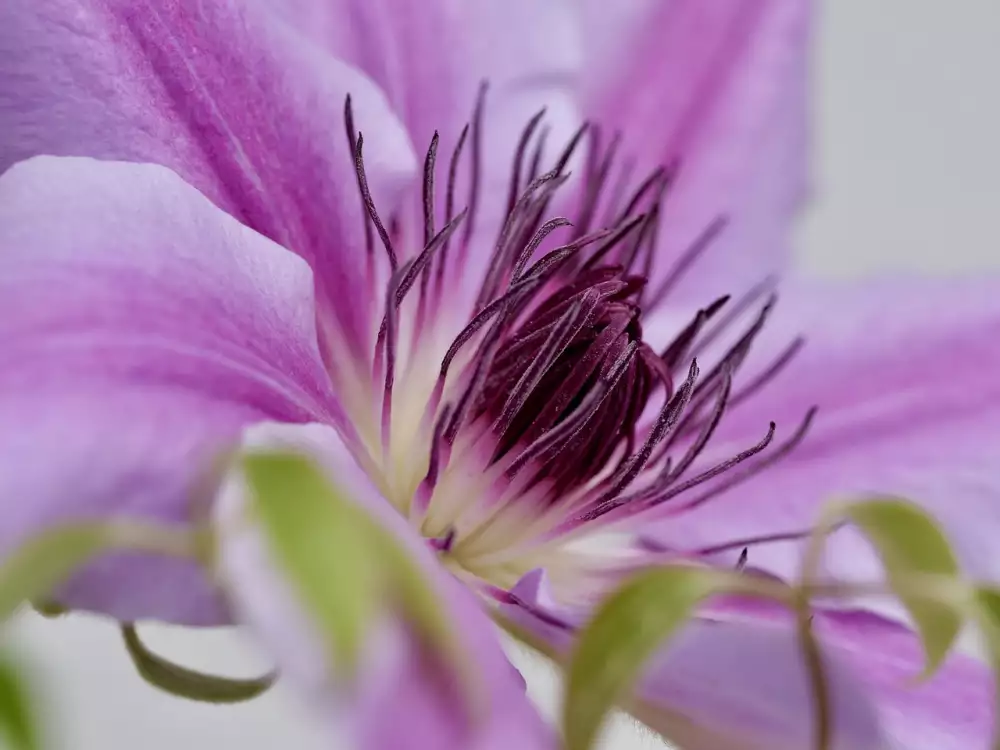 Spořicí Účet Air Bank Recenze